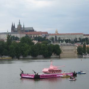 Meet your Posher, Sammy